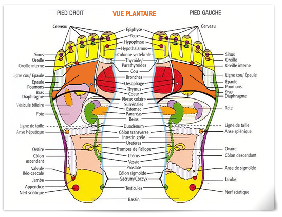 Happyfeetreflexologie4